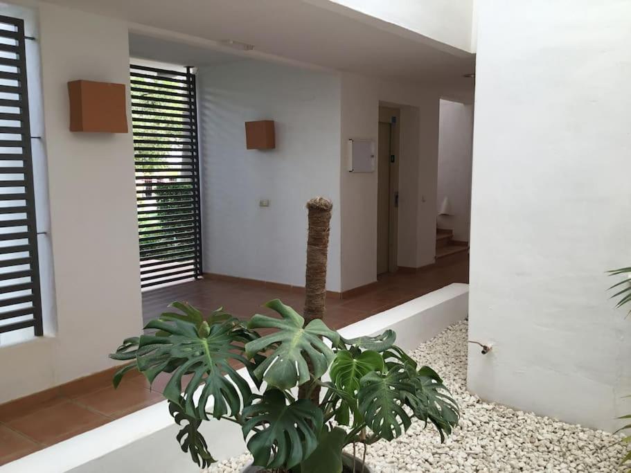 Alcazaba Blue Lagoon 3 Bedroom, Ground Floor Apartment Естепона Екстер'єр фото